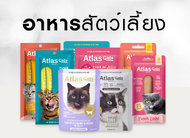 ยาและอาหารเสริม